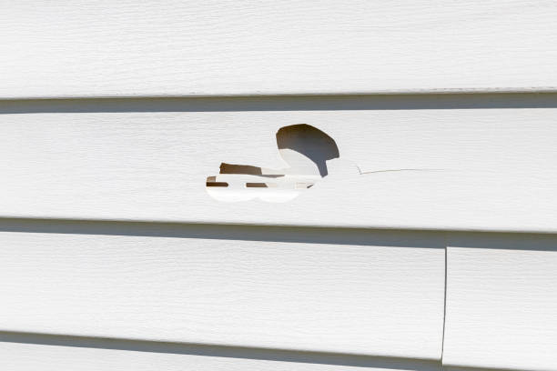 Best Construction Debris Removal  in Irvington, KY